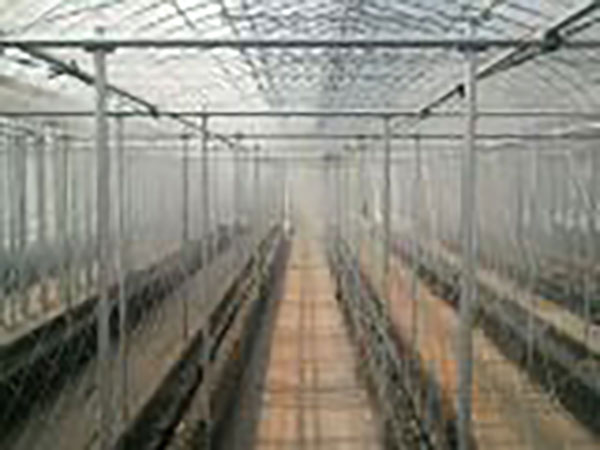 ドライフォグ開始30秒後