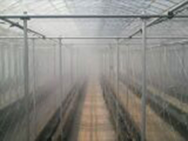 ドライフォグ開始1分後