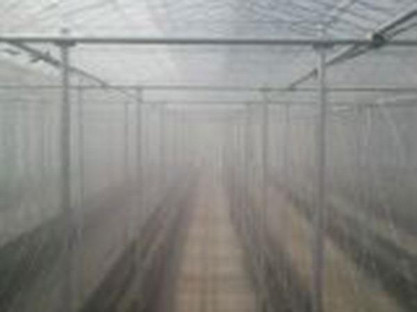 ドライフォグ開始1分半後