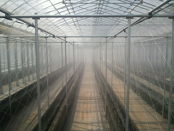 ドライフォグ停止1分後